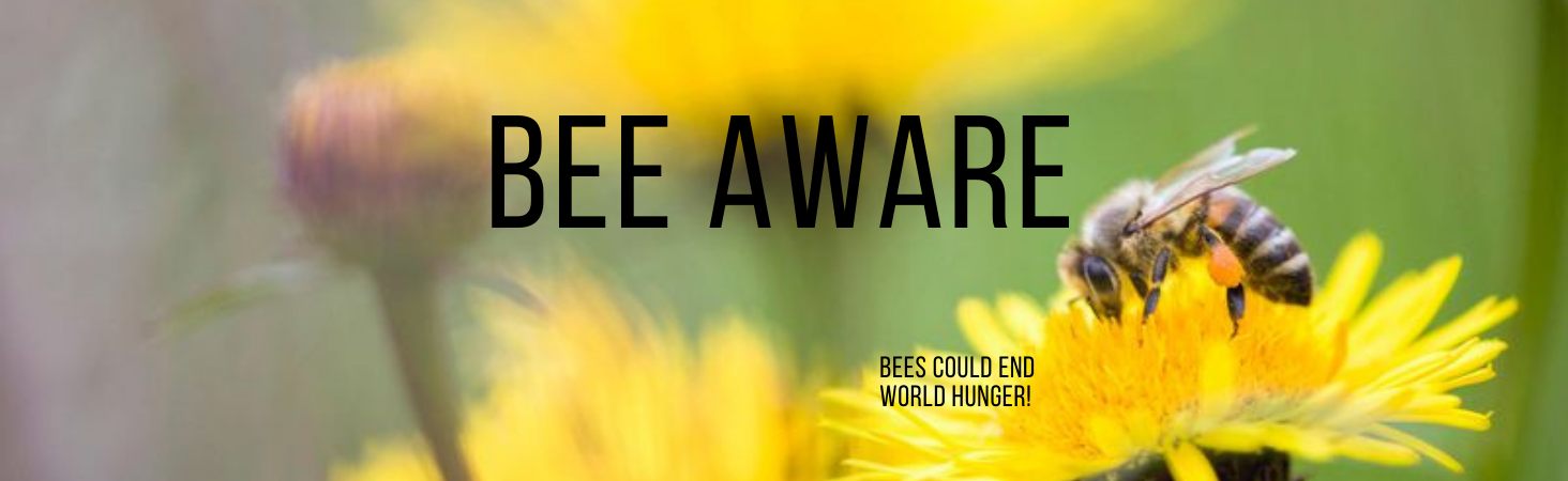 #BeeAware: Bees Could End World Hunger!